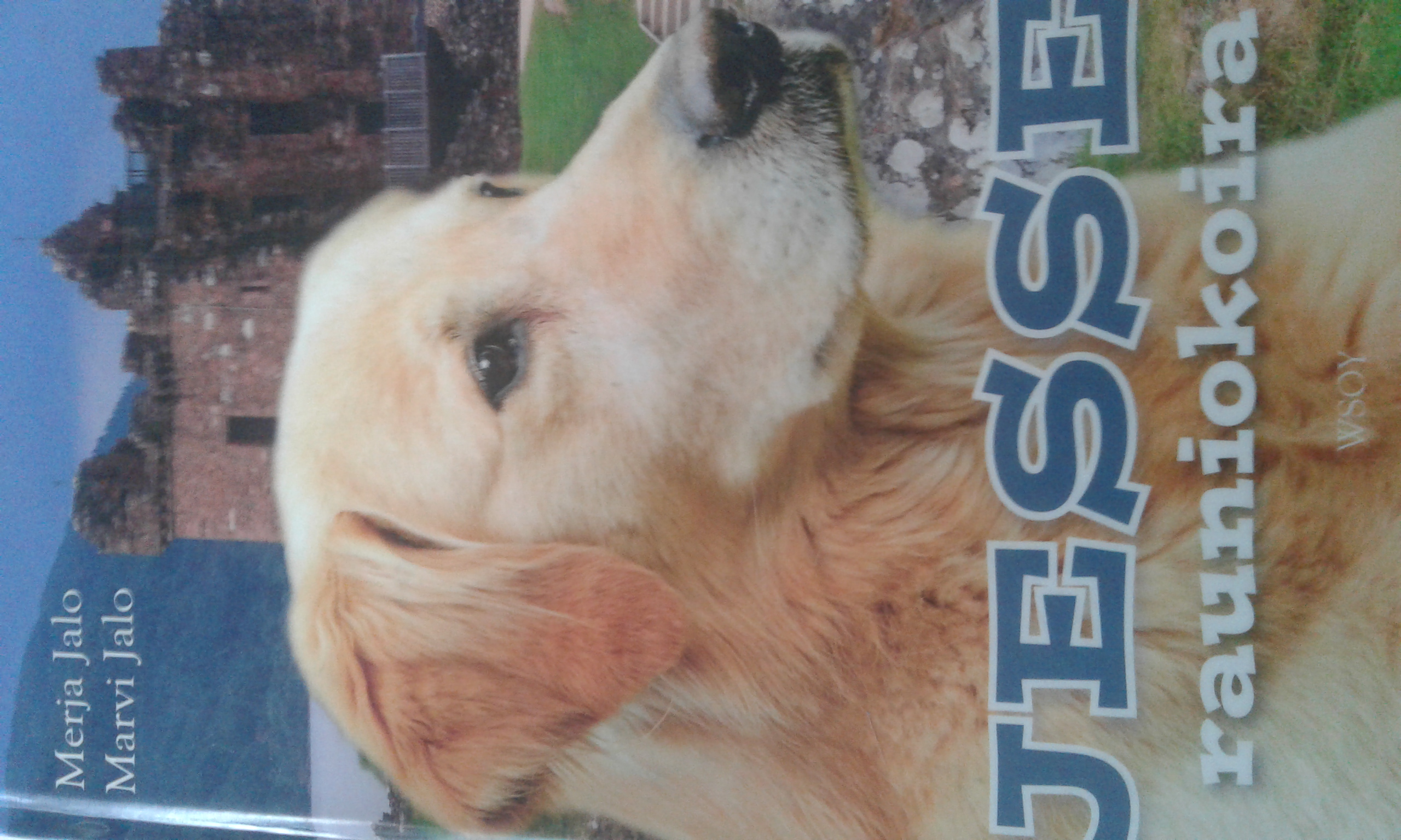 Jesse rauniokoira (Koiratytöt, #26)