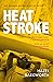 Heatstroke: the dark, compulsive debut you won't be able to forget
