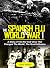 THE SPANISH FLU AND WORLD W...