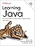 Learning Java: An Introduction to Real-World Programming with Java