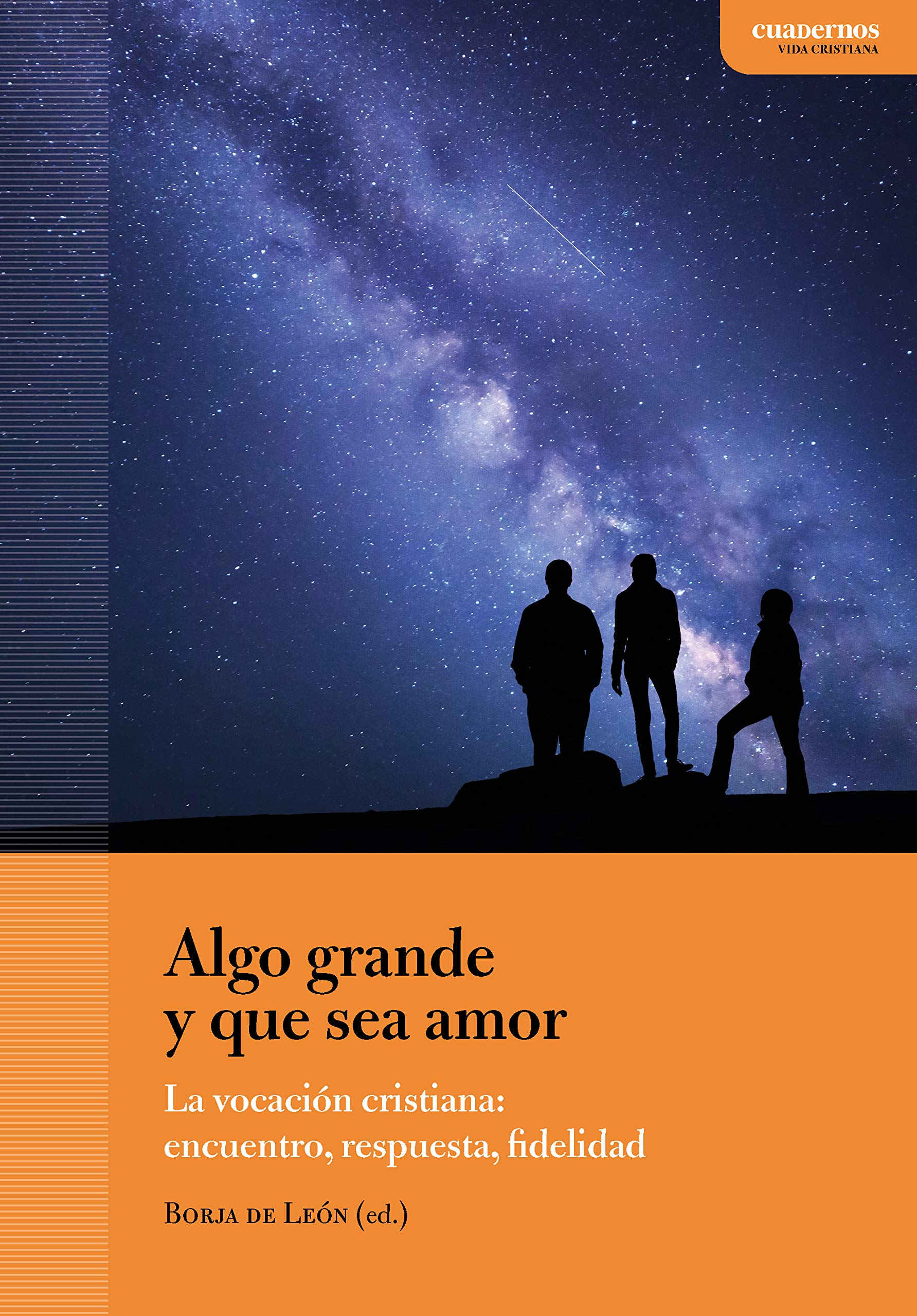 Algo grande y que sea amor: La vocación cristiana: encuentro, respuesta, fidelidad (Spanish Edition)