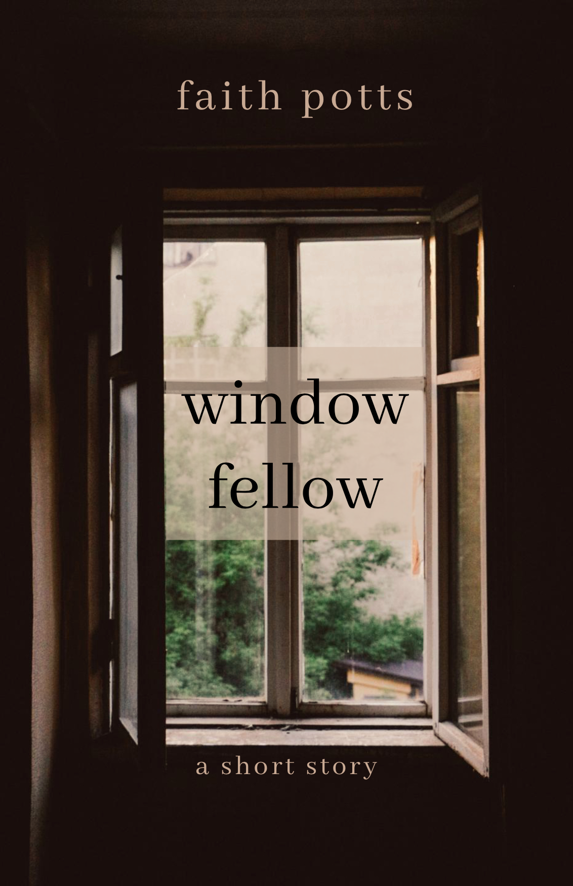 Window Fellow (Kindle Edition)