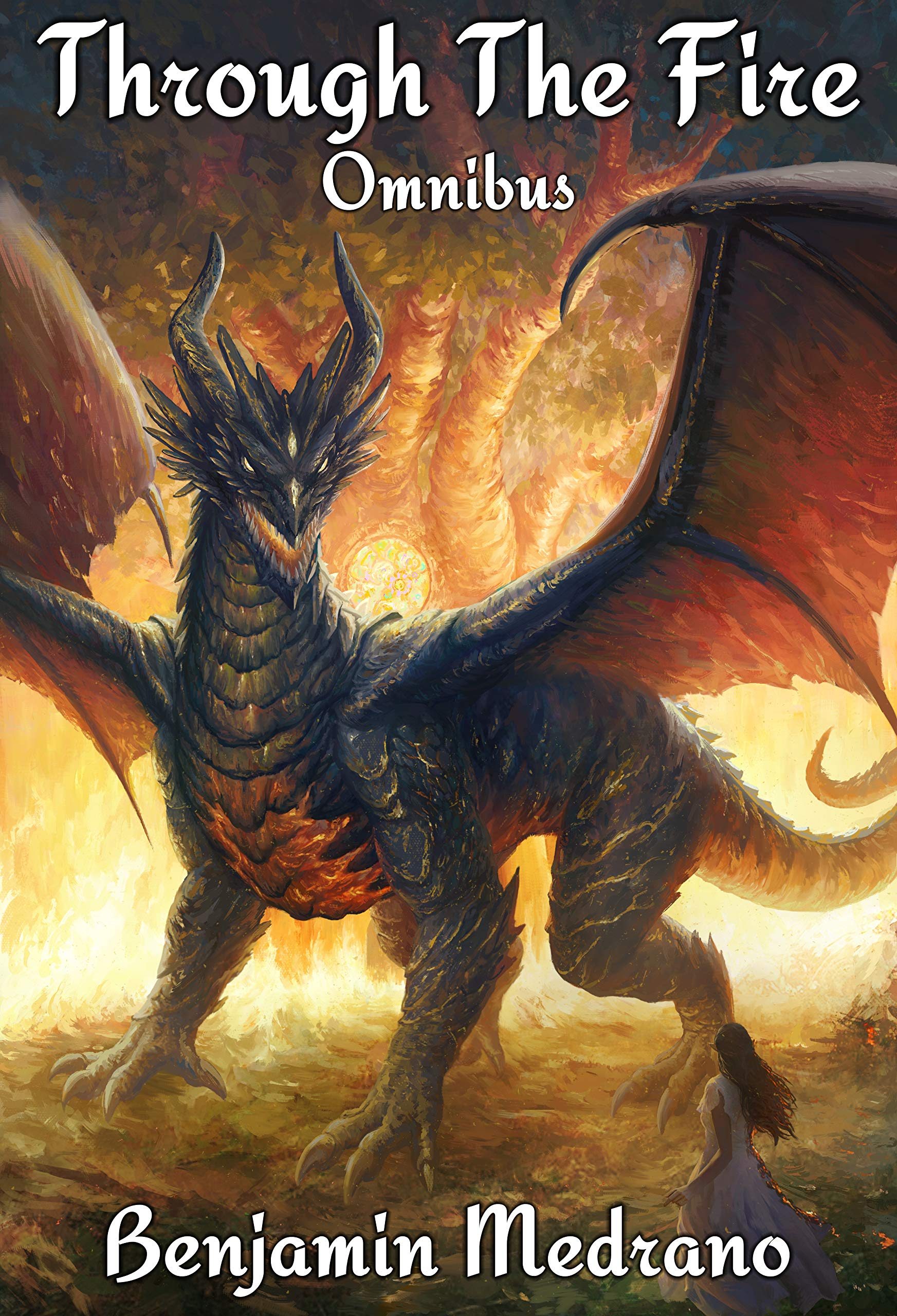 Through the Fire: Omnibus Edition (Kindle Edition)