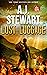 Lost Luggage by A.J. Stewart