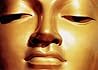 Book cover for The Dhammapada (The Buddha's Path of Truth)