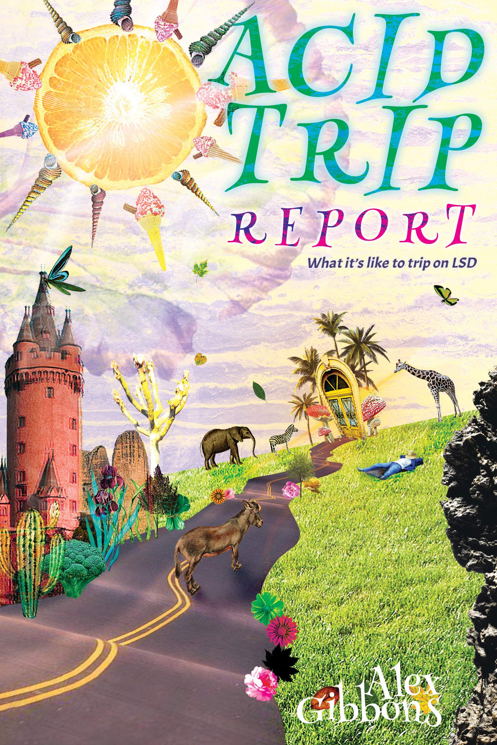 Acid Trip Report - What it’s like to trip on LSD (Kindle Edition)