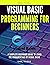 visual basic programming for beginners: A Complete Beginners Guide To Learn The Fundamentals Of visual basic