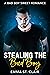 Stealing the Bad Boy (Not So Bad Boys Book 1)