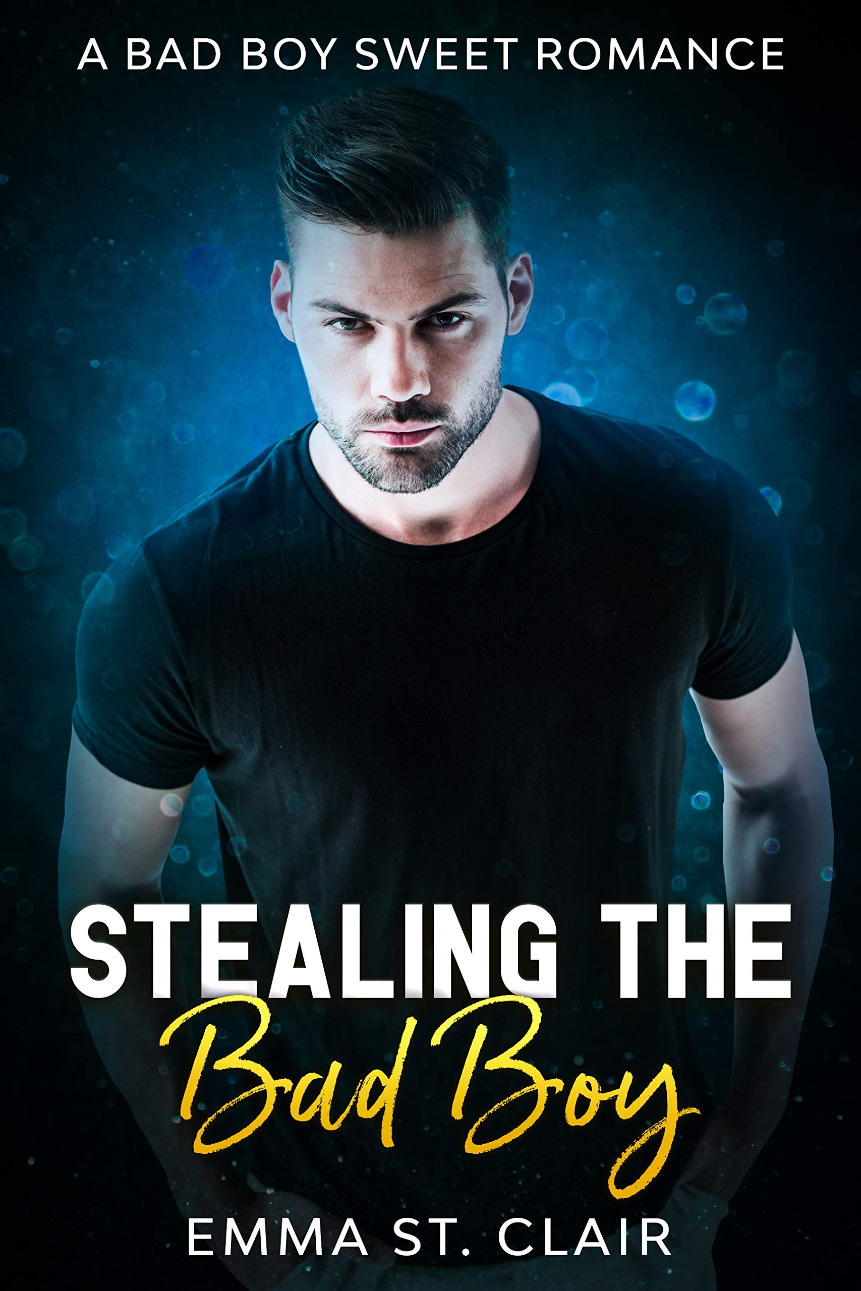 Stealing the Bad Boy (Not So Bad Boys Book 1)
