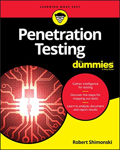 Penetration Testing For Dummies (Kindle Edition)