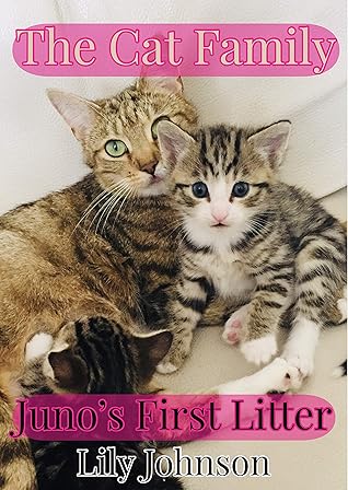 cats first litter
