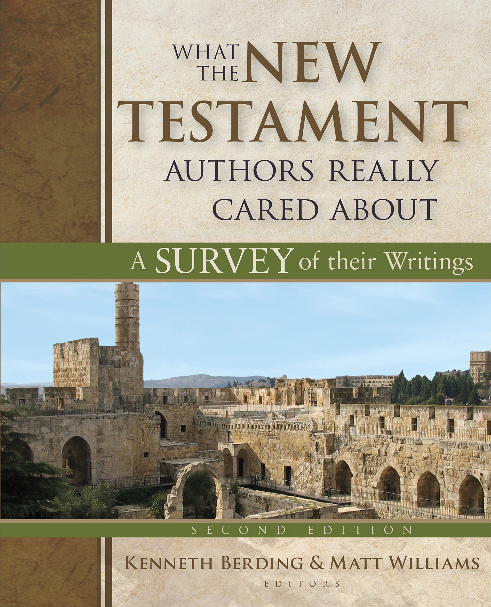 What the New Testament Authors Really Cared About: A Survey of Their Writings (Kindle Edition)