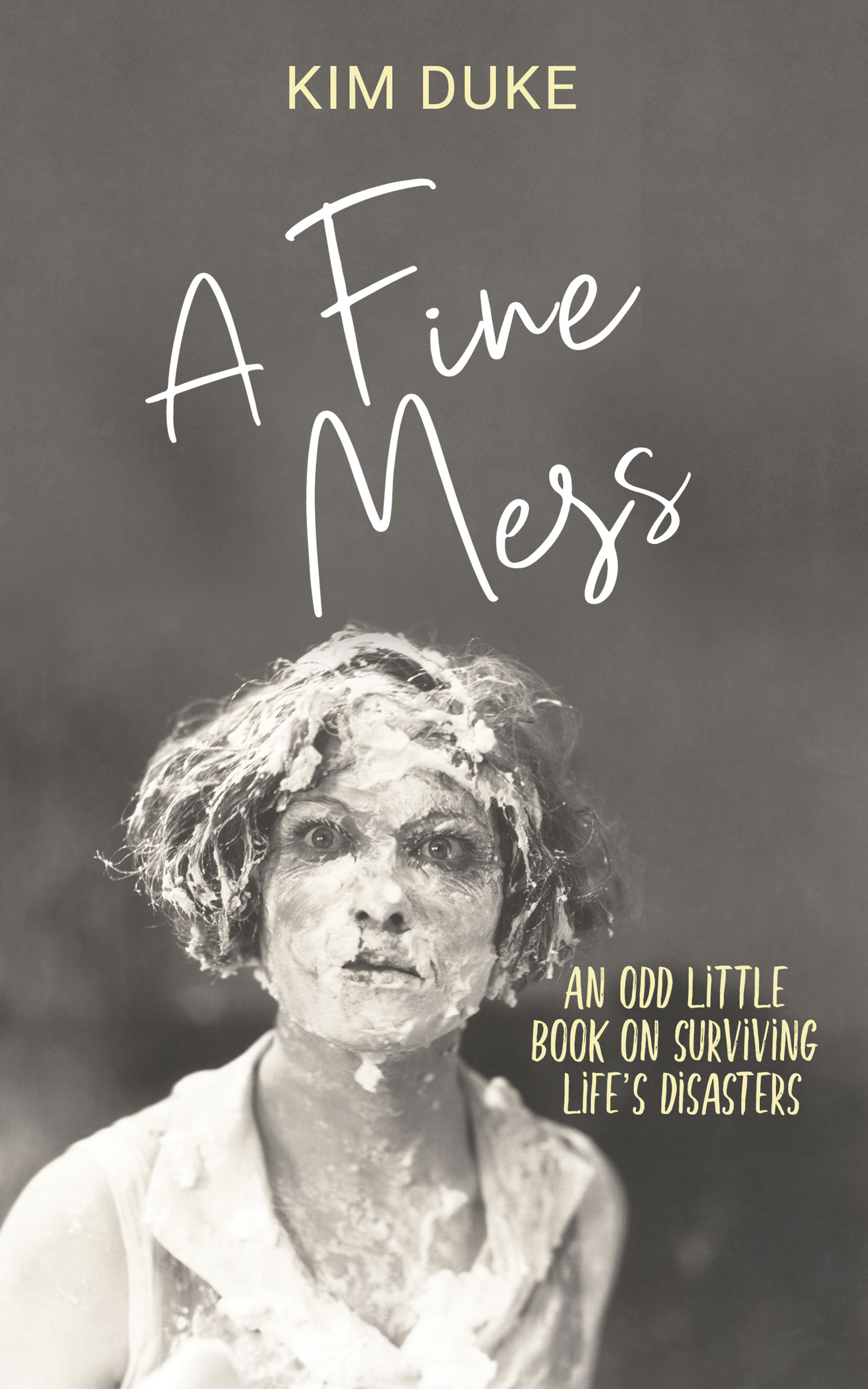 A Fine Mess: An Odd Little Book on Surviving Life's Disasters