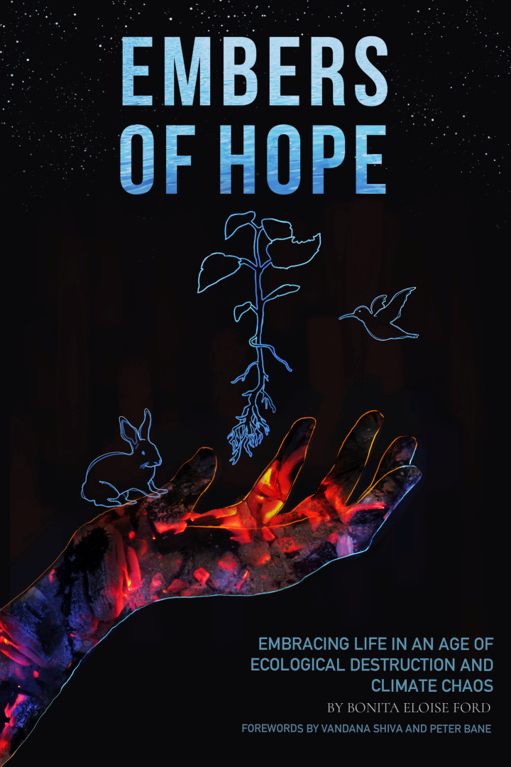 Embers of Hope: Embracing Life in an Age of Ecological Destruction and Climate Chaos (Paperback)