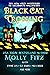 Black Cat Crossing by Molly Fitz