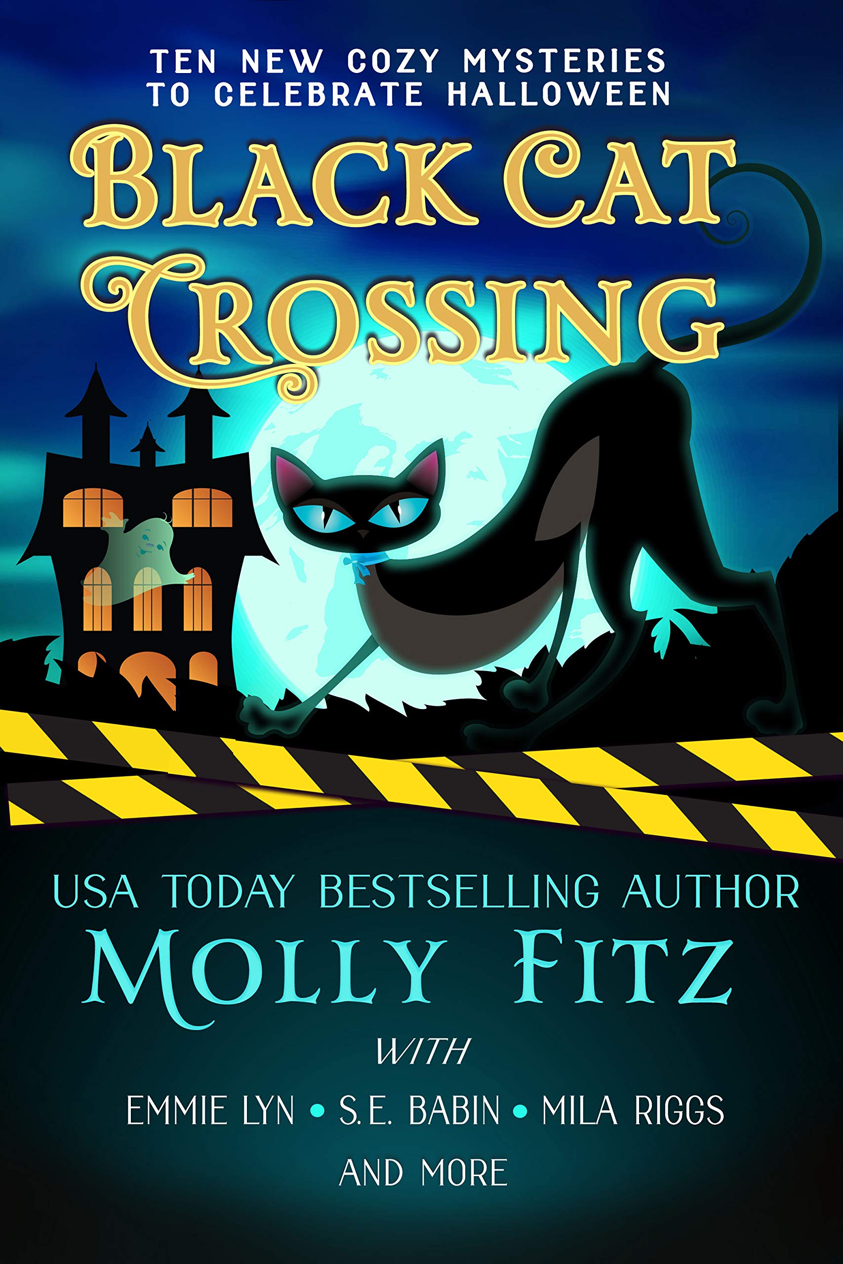 Black Cat Crossing (Kindle Edition)