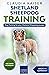 Shetland Sheepdog Training: Dog Training for your Shetland Sheepdog puppy