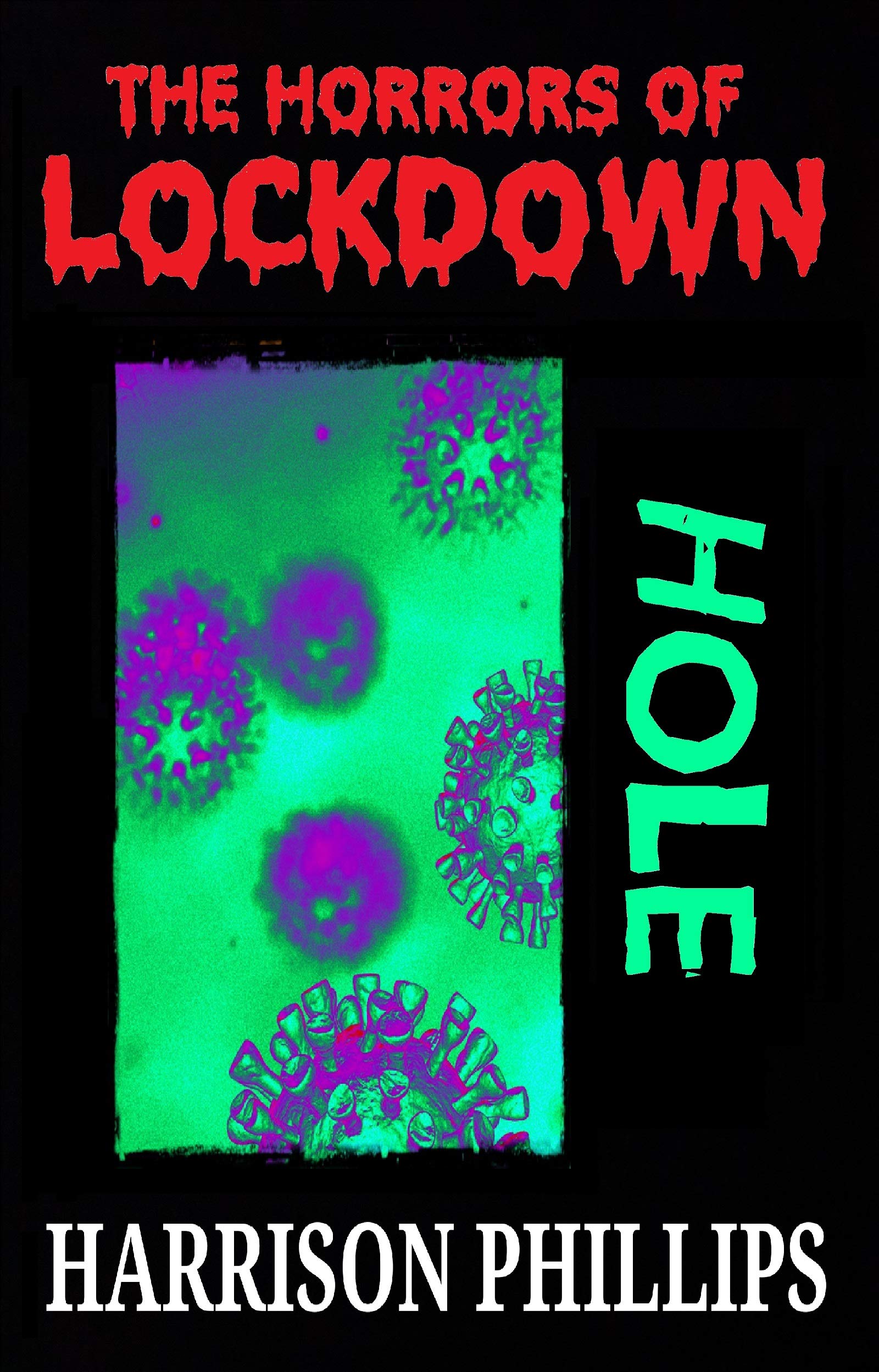 Hole (Kindle Edition)