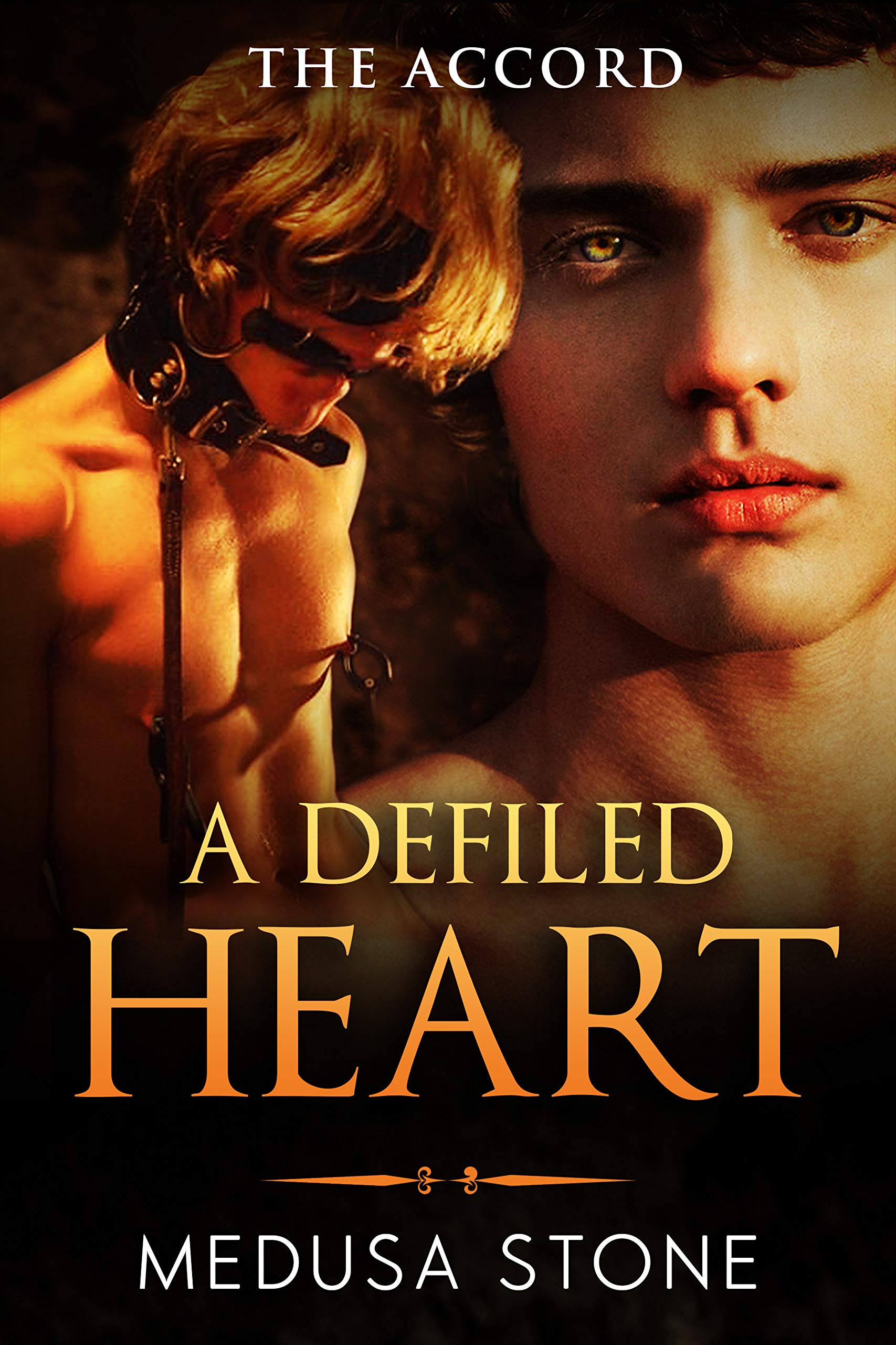 A Defiled Heart (The Accord, #2)