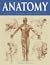 Anatomy Made Simple For Artists