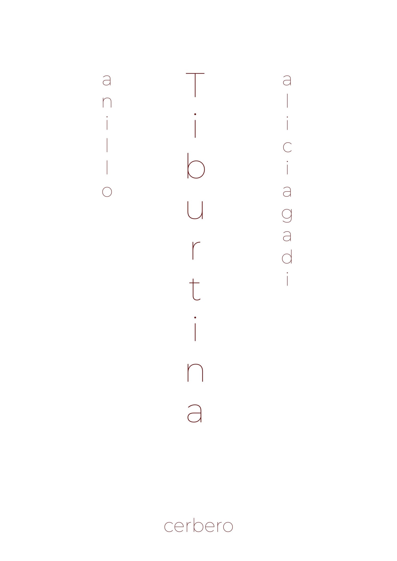 Anillo: Negocios (Tiburtina #13)