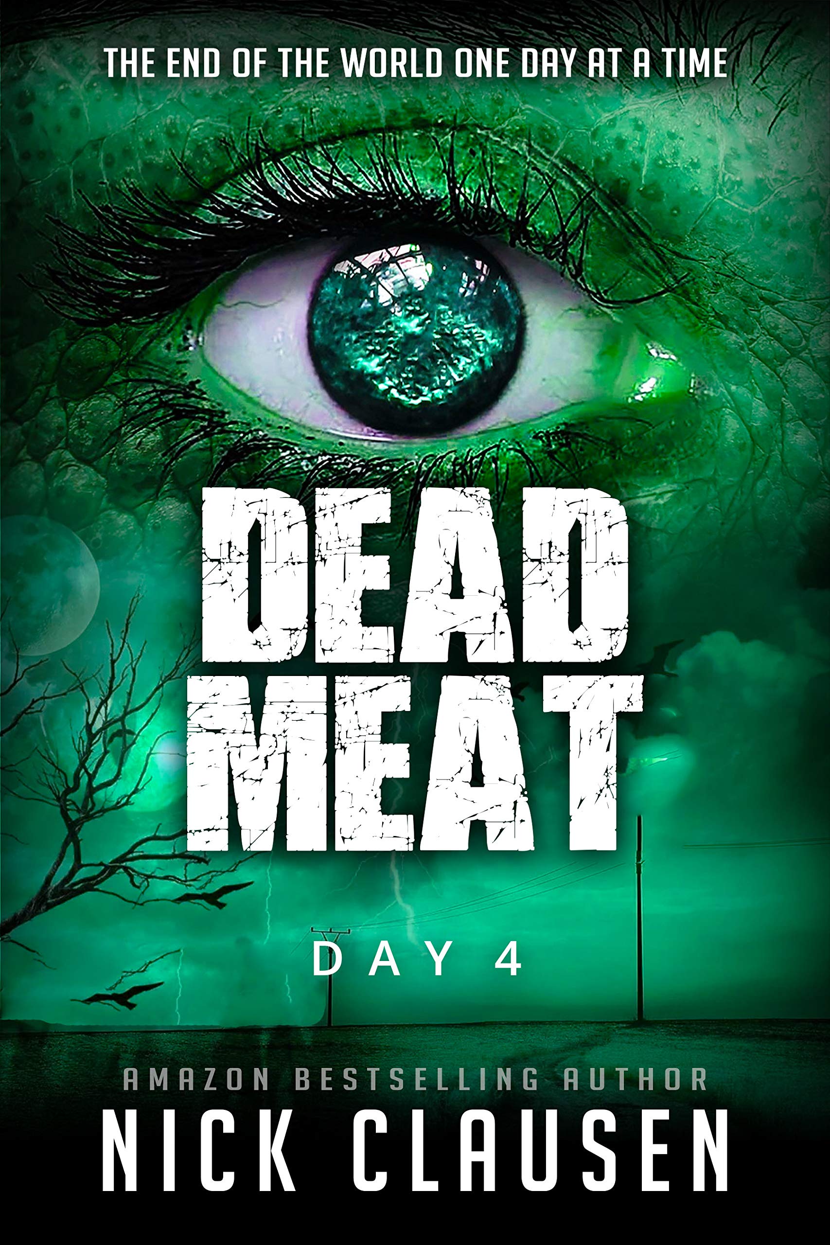 Dead Meat: Day 4 (Dead Meat, #4)