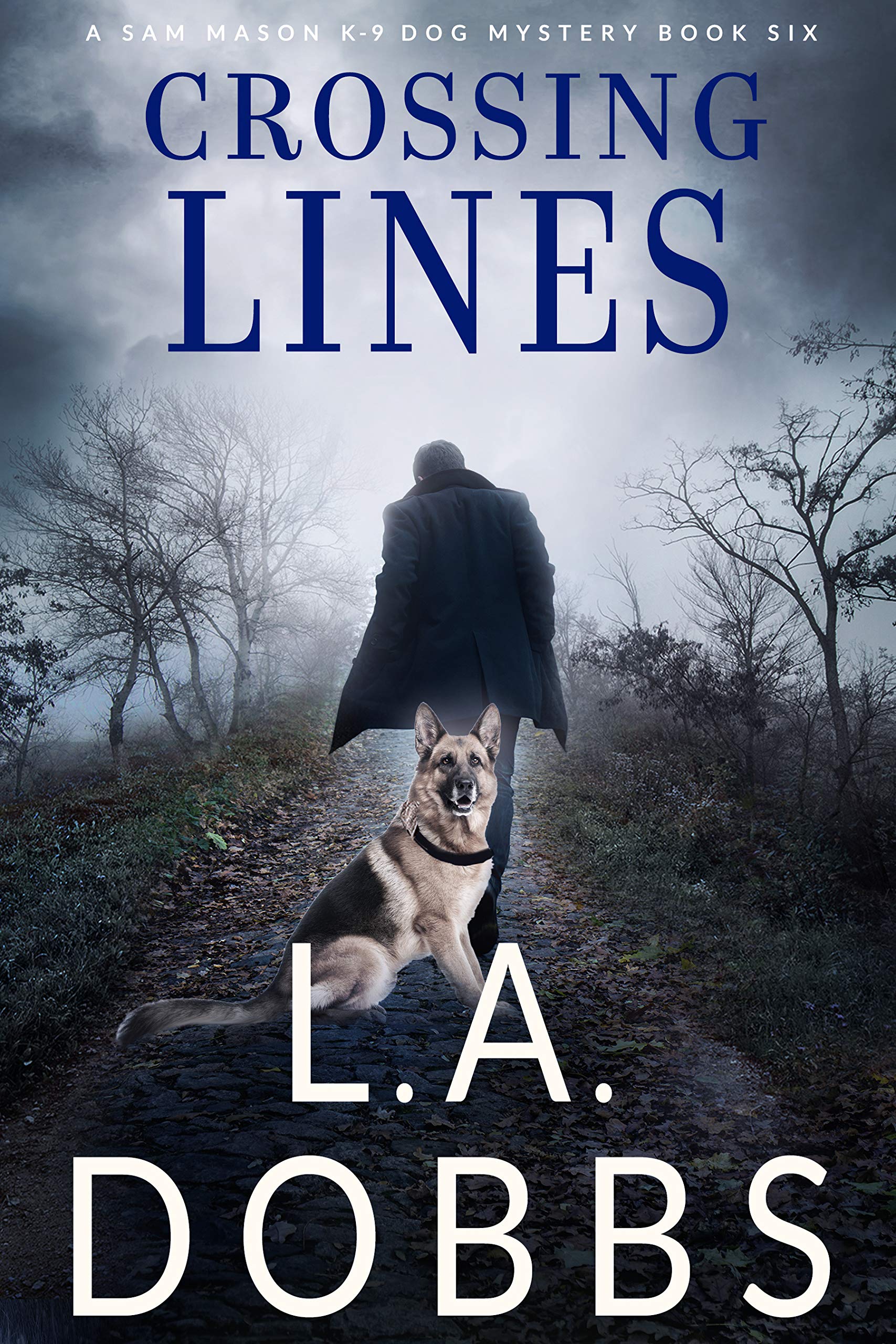 Crossing Lines (Sam Mason Mysteries, #6)