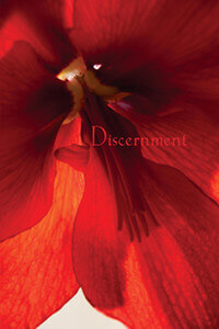 Discernment: The Buddha's Strategies for Happiness: II (ebook)