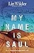 My Name Is Saul: A Novel of the Ancient World