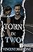 Torn in Two (The Torn Series)