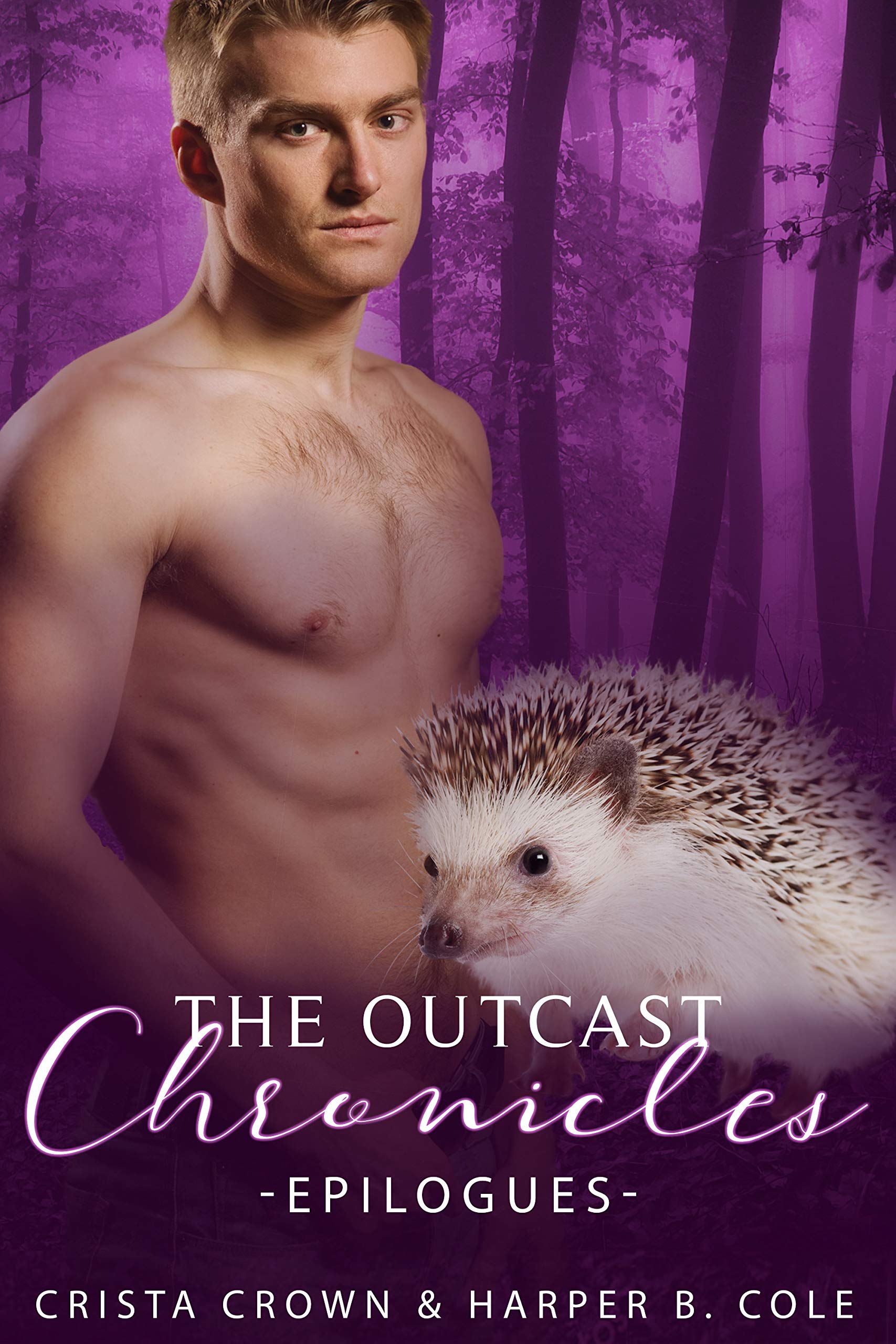 Epilogues (The Outcast Chronicles #6.6)