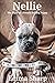 Nellie: The Diary of a Fren...