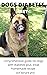DOGS DIABETES DIET : COMPRE...