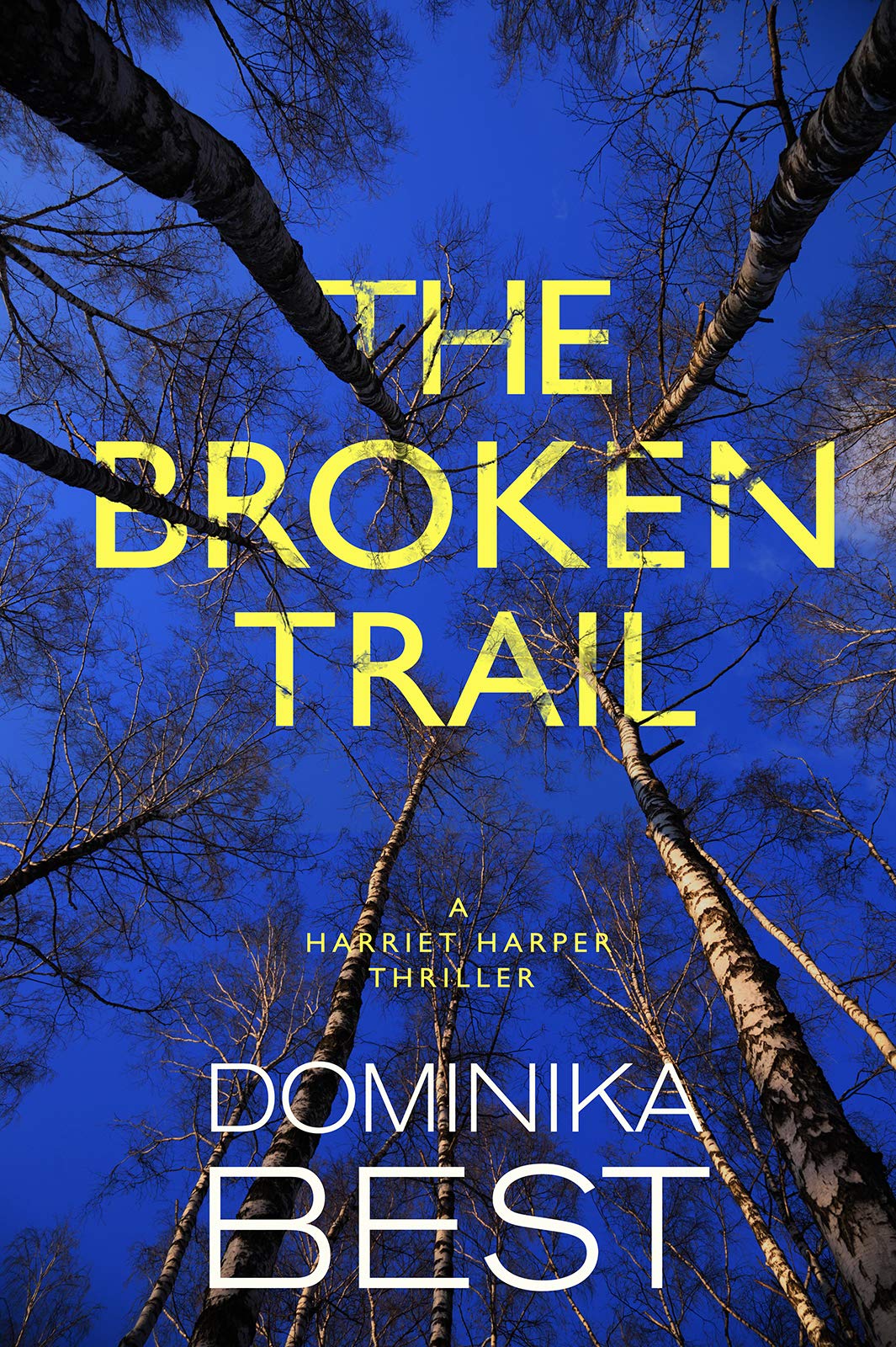The Broken Trail (Harriet Harper, #3)