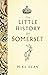 The Little History of Somerset by Mike Dean