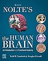 Nolte's The Human...
