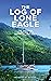 The Log of Lone Eagle by Robert G. Bugge