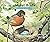About Birds: A Guide for Children (About. . . Book 1)