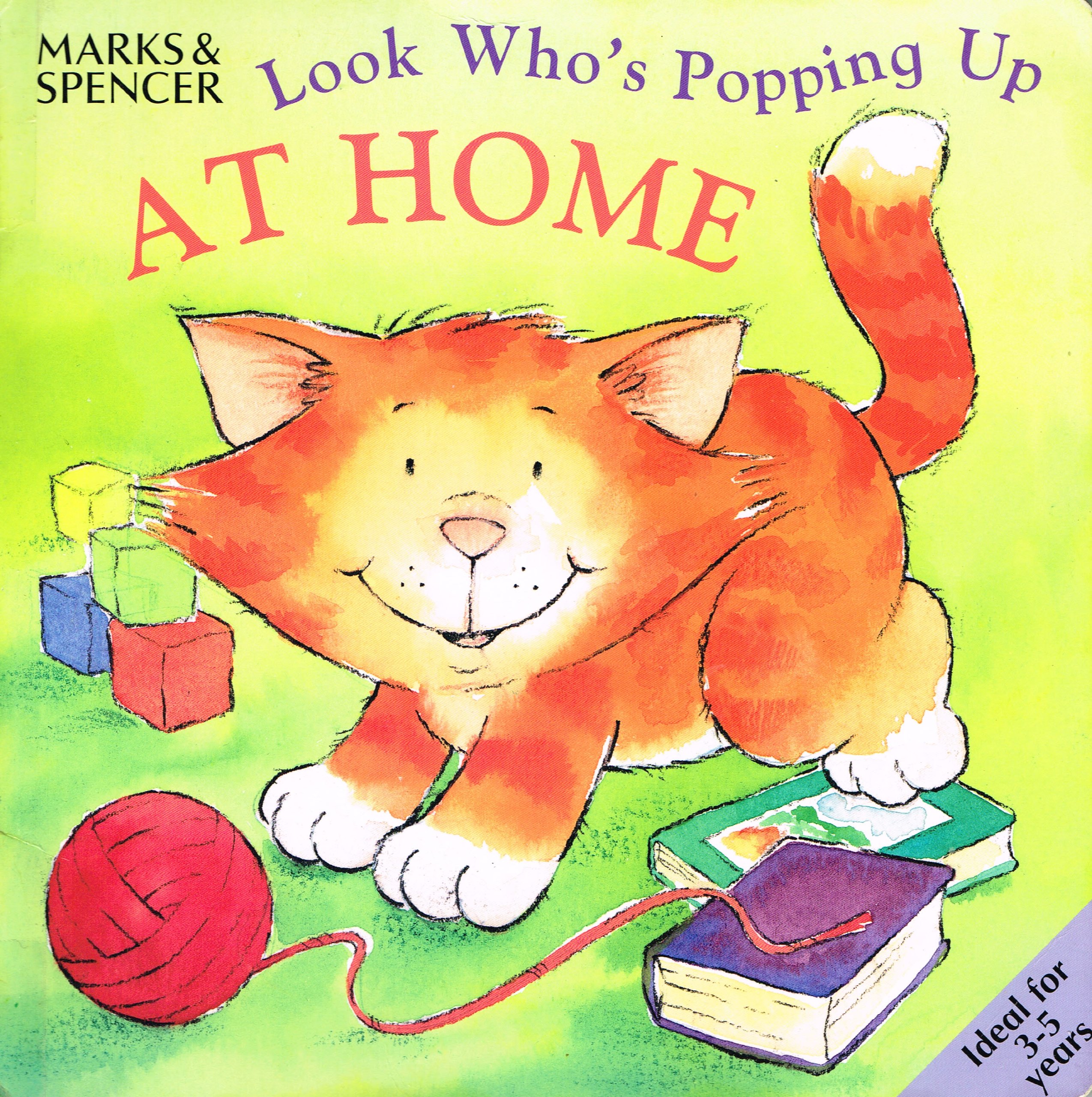 Look Who's Popping Up At Home (Board book)