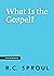 What Is the Gospel? (Crucial Questions)