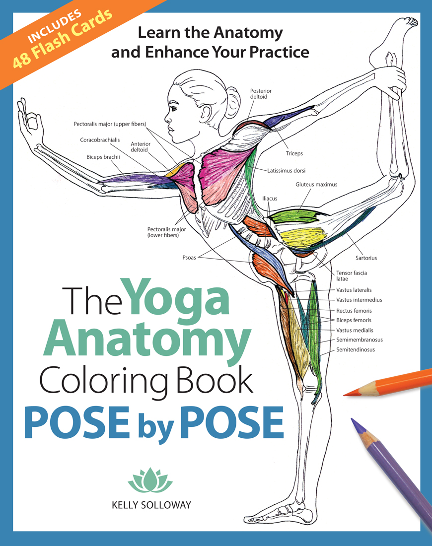 Pose by Pose: Learn the Anatomy and Enhance Your Practice (Volume 2) (Anatomy Coloring Books)