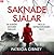 Saknade Själar (Kriminalkommissarie Lottie Parker #1)