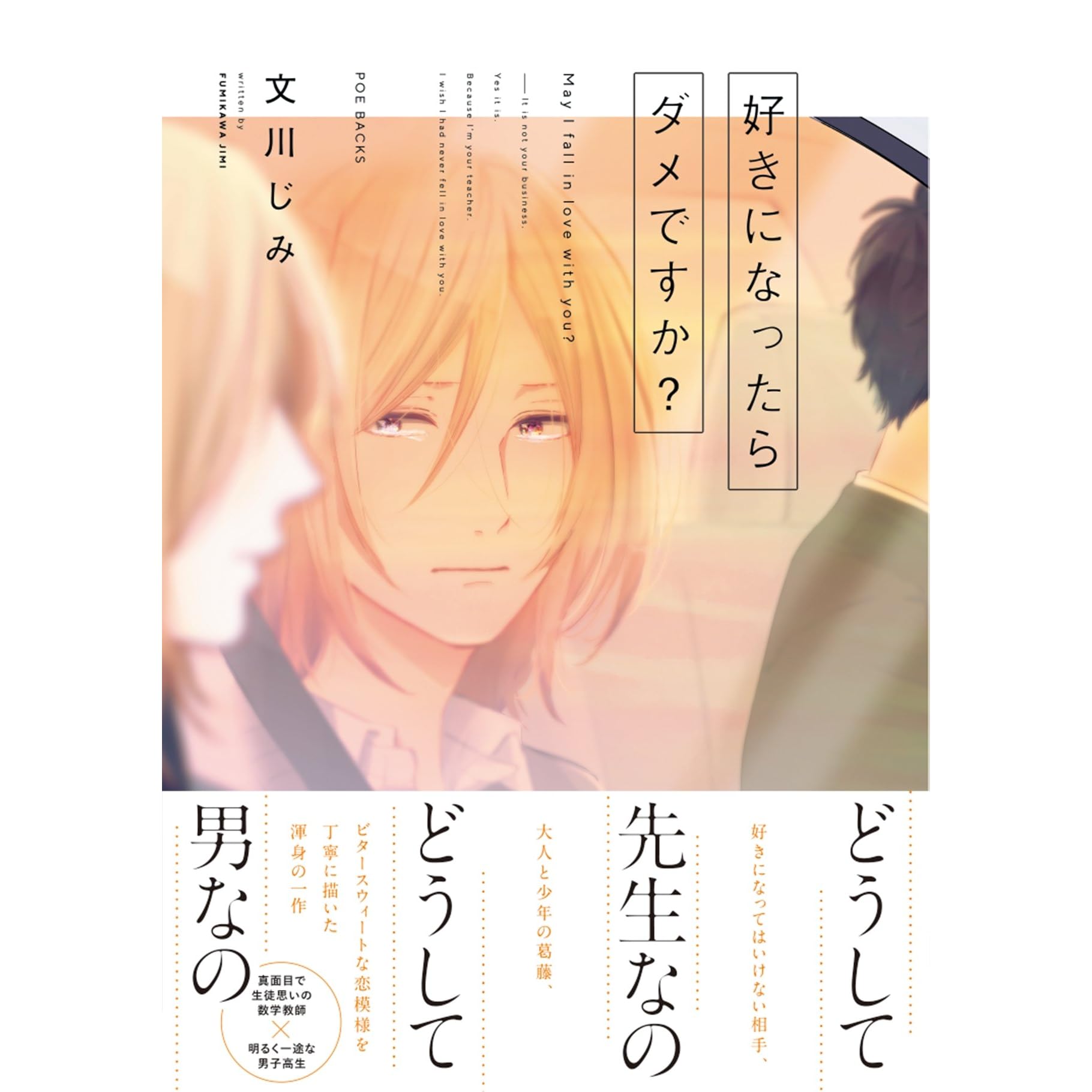 好きになったらダメですか By 文川じみ