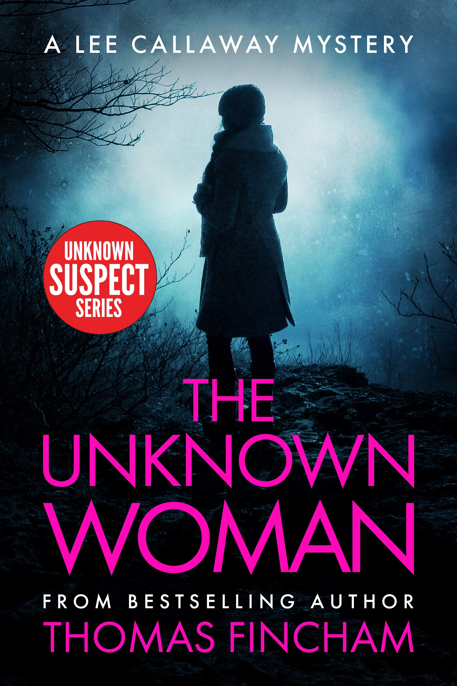 The Unknown Woman (Lee Callaway #8)