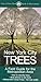 New York City Trees by Edward Sibley Barnard
