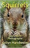 Squirrels: Squirrels in Photographs