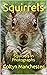 Squirrels by Coltyn Manchester
