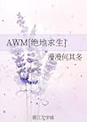AWM[绝地求生]