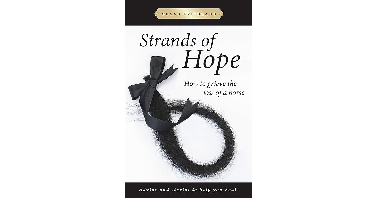 Strands of Hope How to Grieve the Loss of a Horse Advice and Stories