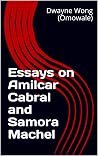 Essays on Amilcar...
